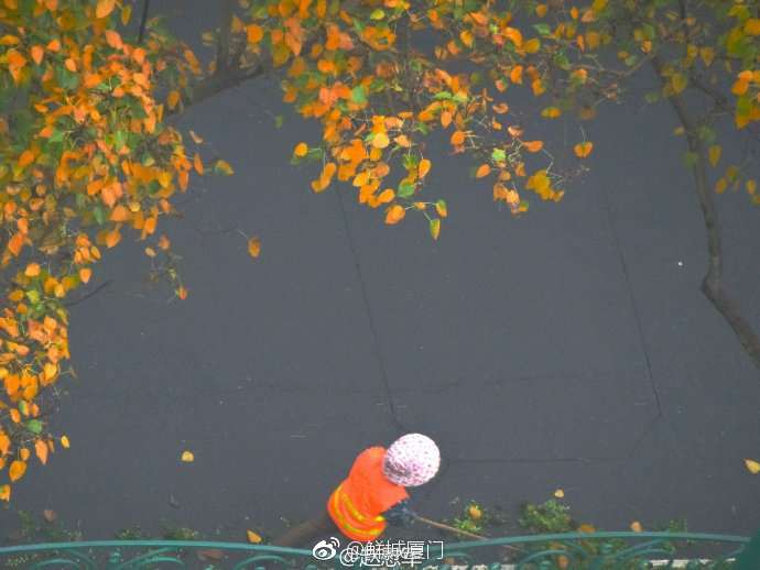 你愿轉(zhuǎn)發(fā)嗎？向這些“美麗花朵” 的環(huán)衛(wèi)工人 ，致敬勞動者 [心]