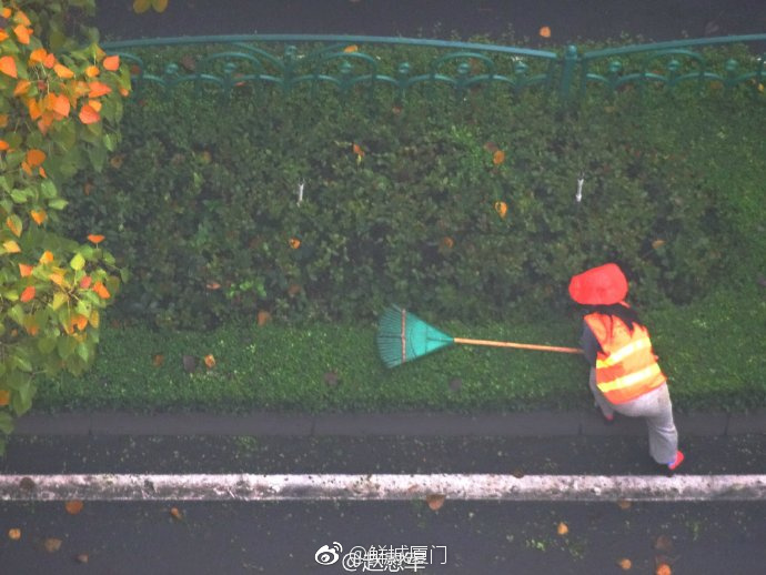 你愿轉(zhuǎn)發(fā)嗎？向這些“美麗花朵” 的環(huán)衛(wèi)工人 ，致敬勞動者 [心]