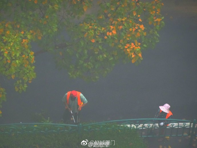 你愿轉(zhuǎn)發(fā)嗎？向這些“美麗花朵” 的環(huán)衛(wèi)工人 ，致敬勞動者 [心]