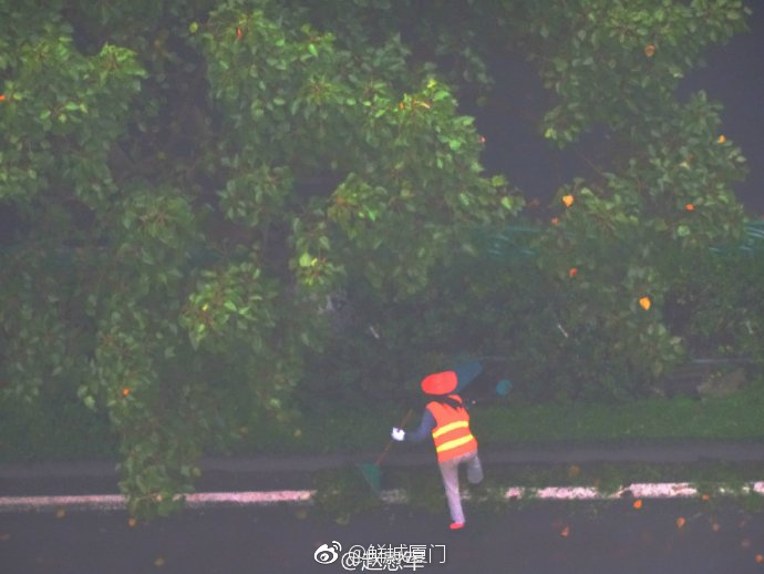 你愿轉(zhuǎn)發(fā)嗎？向這些“美麗花朵” 的環(huán)衛(wèi)工人 ，致敬勞動者 [心]